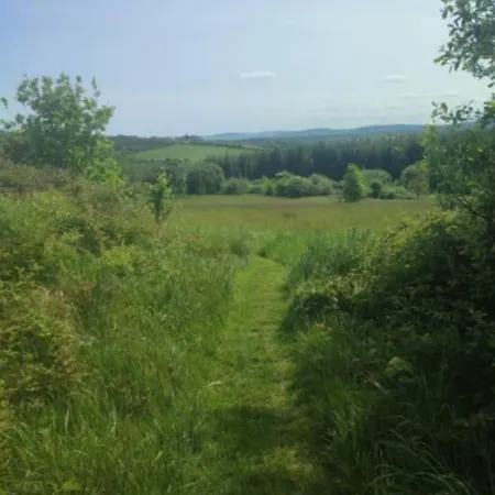 Bilberry Boreen Campingplads